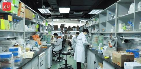 深圳創新，奔向未來 生物技術研發的領航之路