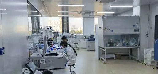 奉賢生物技術企業新春發力，研發一線“火力全開”沖刺全年目標